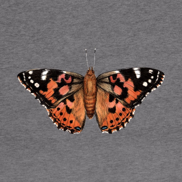 Painted Lady by JadaFitch